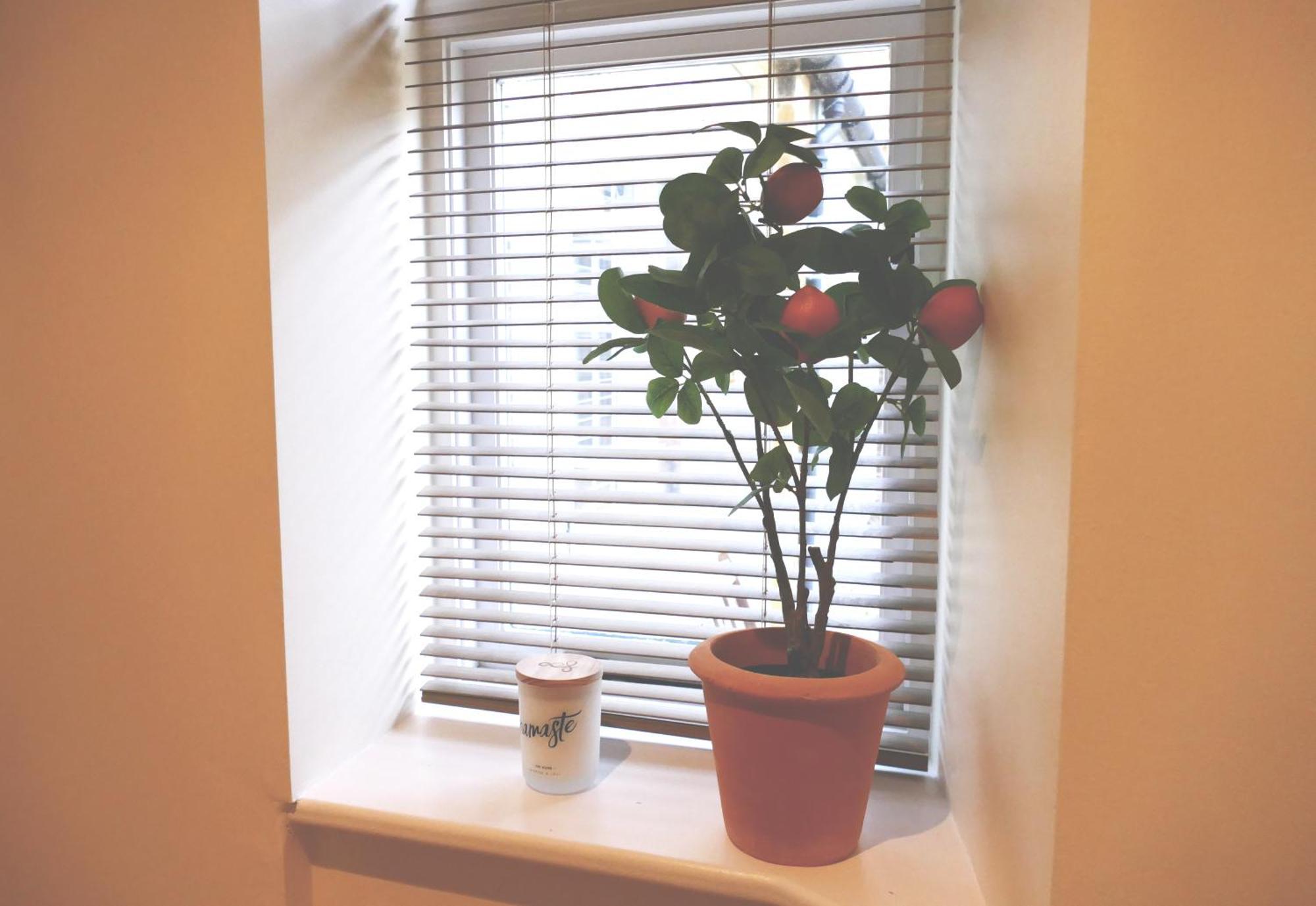 Immaculate 1-Bed Cottage In Moreton In Marsh Esterno foto